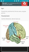 NeuroBasics ảnh chụp màn hình 3