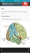 NeuroBasics скриншот 3