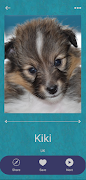 Dog Names & Photos - NameMyDog syot layar 5