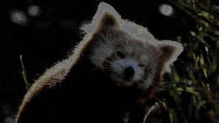 Style Transfer تصوير الشاشة 7