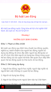 Bộ luật Lao động Việt Nam poster