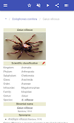 Spiders screenshot 2