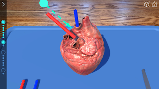 AR 해부실험실 screenshot 5
