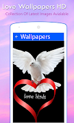 Love Wallpapers HD 截图 1