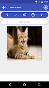 Swedish Language Learning ภาพหน้าจอ 1