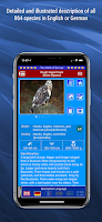 Birds of Europe screenshot 2