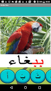 offline arabic courses screenshot 4
