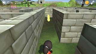 3D Maze (The Labyrinth) تصوير الشاشة 3
