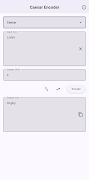Crypto Encoder Decoder screenshot 2