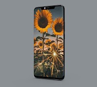 Sunflower Wallpapers screenshot 5