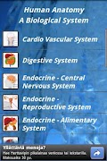 Human Anatomy plakat