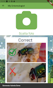MyEntomologist 截图 1