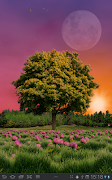 Summer Trees Free screenshot 6