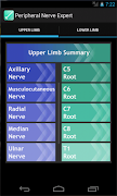 Poster Peripheral Nerve Expert