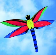 Kites Designs screenshot 2