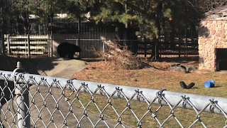 Zoo Exploration screenshot 3