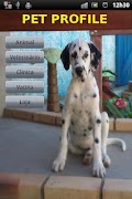 PetProfile 海报