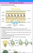 Biology Cheatlists screenshot 6