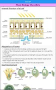 Biology Cheatlists screenshot 6