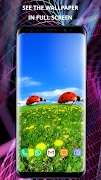 Animals wallpapers for phone screenshot 7