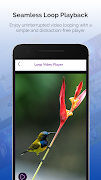 Loop Video Player স্ক্রিনশট 3