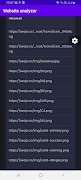 Website analyzer screenshot 7