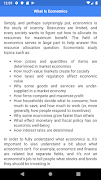 Economics syot layar 1