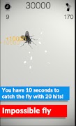 Catch the Fly اسکرین شاٹ 7