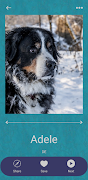 Dog Names & Photos - NameMyDog スクリーンショット 4