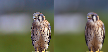 Camera Booster اسکرین شاٹ 2