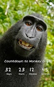 Countdown to Monkey Day syot layar 5
