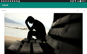 Ceborik captura de pantalla 6