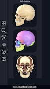 Skull Anatomy Pro. скриншот 1