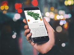 وصفات العلاج بالأعشاب بدون انت Ekran Görüntüsü 1