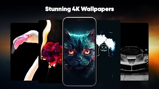 Live Wallpapers, 4K Wallpapers Screenshot 3
