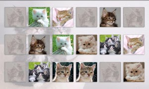 Cats Memory Game Free ภาพหน้าจอ 4