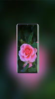Rose Wallpaper スクリーンショット 2
