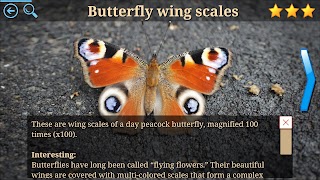 Microcosm Secrets Quiz スクリーンショット 2