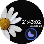 SEOR | FLOWERS screenshot 7