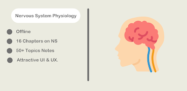 Nervous System Physiology постер