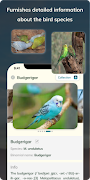 Bird Detect ảnh chụp màn hình 3