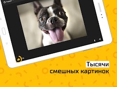 АйДаПрикол スクリーンショット 6