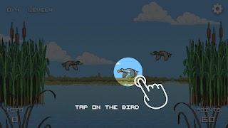 Dodging Ducks captura de pantalla 1