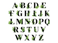 +500 Cross Stitch Patterns captura de pantalla 4