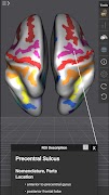 Brain Tutor 3D скриншот 3