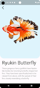 Goldfish Gallery screenshot 2