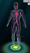 Vascular system screenshot 1