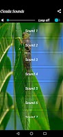 Cicada  noise screenshot 1