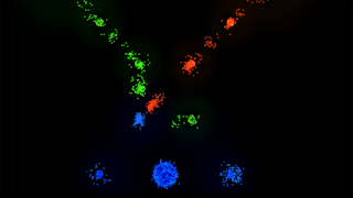 오라룩스는 스크린샷 4