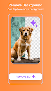 Poster Maker - Flyer Creator, 截图 3